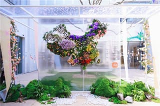 到天目里打卡巨幅“中国簪花地图” 淘宝请你春天戴花