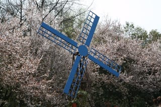 杭州最受欢迎的旅游胜地，西湖排第二，位列第一的居然是这里？