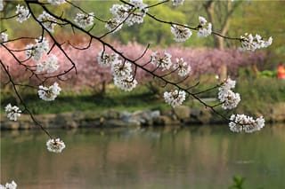 两日游，看尽西湖美景