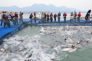 “年年有余”第七届湘湖年鱼节系列活动精彩纷呈