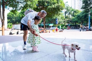 爱心启航，移动爱宠撑起流浪动物保护伞