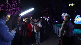 厦门园博苑灯会3.8回顾：她们在灯海中闪闪发光