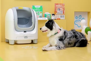 中国移动升级智慧养宠解决方案，生态协同赋能宠物经济发展