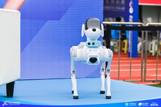 科技赋能全民健身，中国移动“灵犀”四足机器狗亮相双城马拉松