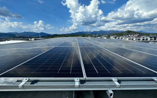 “小成本”撬动“大变化”丽水市烟草专卖局推动绿色发展与物流转型的“双向奔赴”