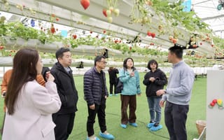 “小庄博士”搭台，青年人才在宁波镇海庄市开启“乡村创享之旅”