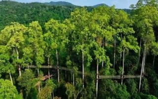 盘点西双版纳2天必去景点：探秘雨林秘境，邂逅傣族风情