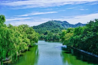 “酒”事真江南