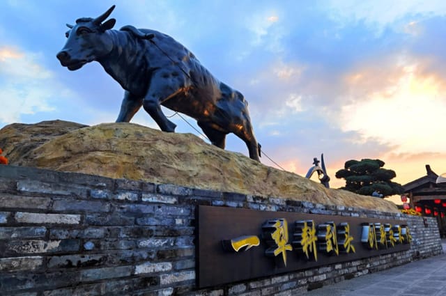 乡村数字人“上岗”助阵，宁波“村村有IP”赋能共富路