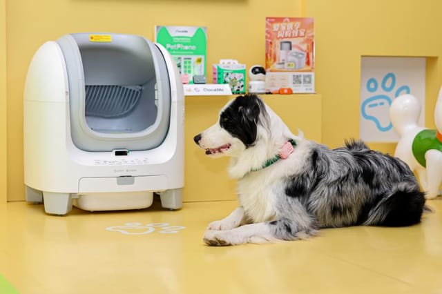 中国移动升级智慧养宠解决方案，生态协同赋能宠物经济发展