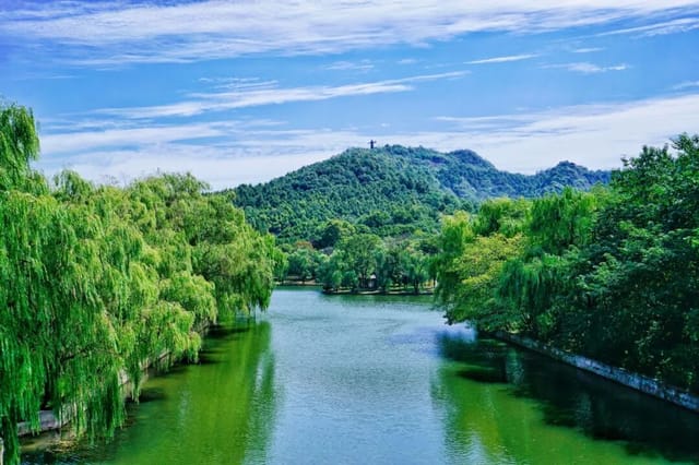 “酒”事真江南